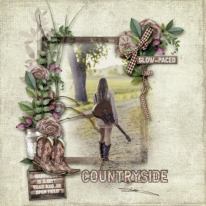 Down the Country Road