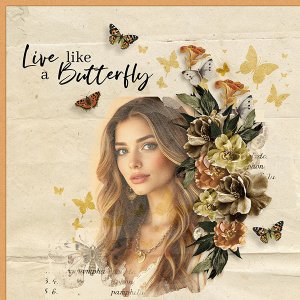 Live Like a Butterfly