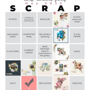 01-2025-05_pbp_scrapbook_bingo~2.jpg