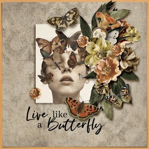 LIVE LIKE A BUTTERFLY