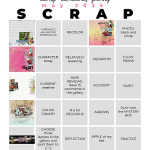 My May 2025 Bingo Card