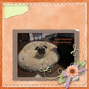 May Sentiment Sassy