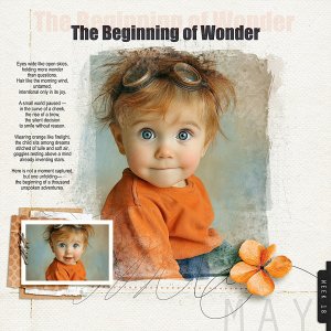 The beginning of wonder