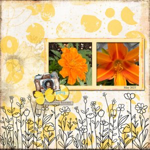 Camera 8x8 72.jpg