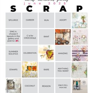 2025-06_pbp_scrapbook_bingo June comp.jpg