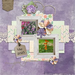 PBP Patterned Papers.jpg