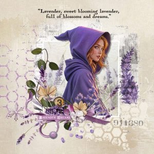 Lavender dreams