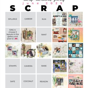 2025-06 Scrapbook Bingo