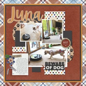 Luna & Bob 6-2-25