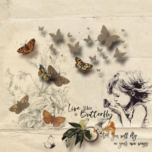 I Love Butterflies
