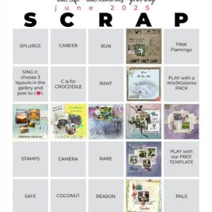 June Bingo PBP.jpg