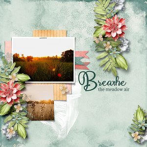 Meadow-Sunrise-Layout-web.jpg
