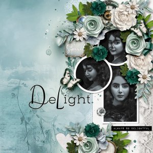 DELIGHT