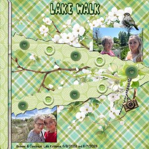 Lake Walk