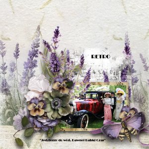 Lavender Dreams