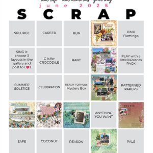 SS-2025-06_pbp_scrapbook_bingo.jpg