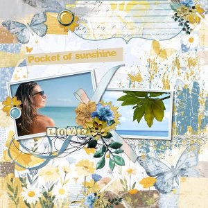 Pocket of sunshine