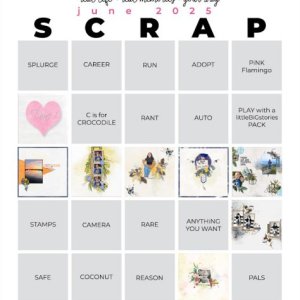 2025-06_pbp_scrapbook_bingo