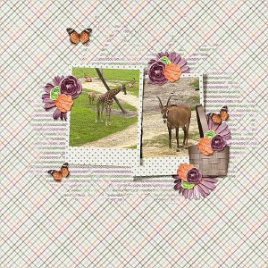 June Bingo - Patterned Papers