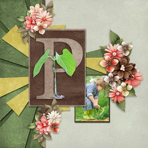 Plant.jpg