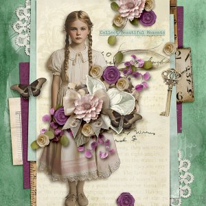 COLLECT BEAUTIFUL MOMENTS