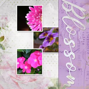 Blossom