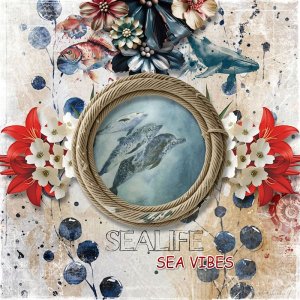 Sea life , sea vibes