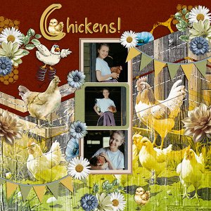 Chickens.jpg