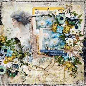 wild-rose