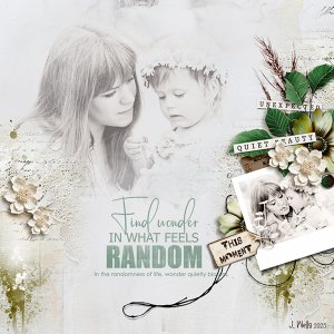 find-wonder