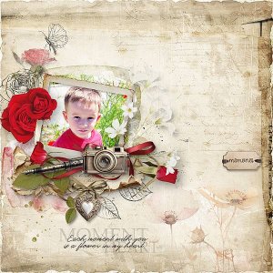 Story In Petals