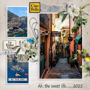 La Dolce Vita.jpg