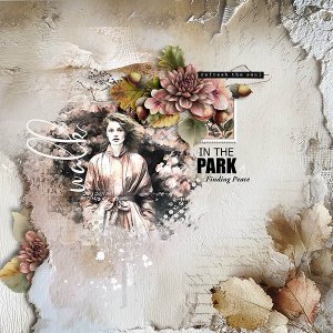 Walk in The Park