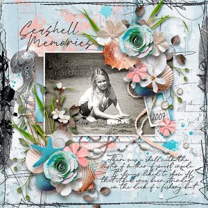 Seashell Memories
