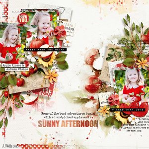 sunny-afternoon