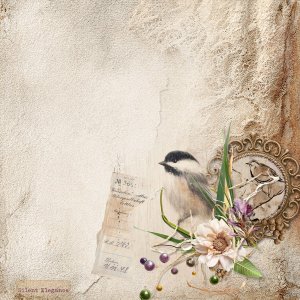silent elegance