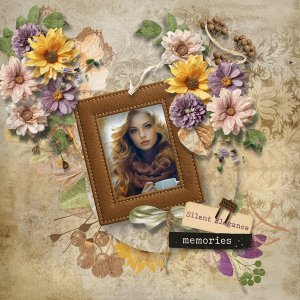 Reminiscence
