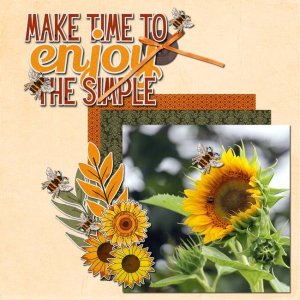 Enjoy the Simple Things
