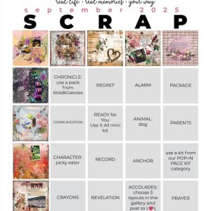 sept25-scrap-bingo.jpg