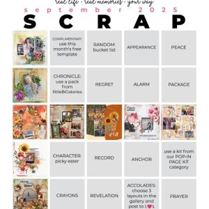 2025-09_pbp_scrapbook_bingo.jpg