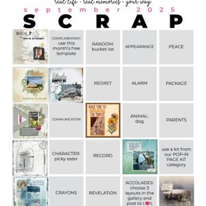 scrap bingo september.jpg
