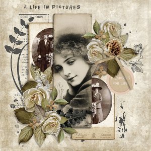 A Life in Pictures