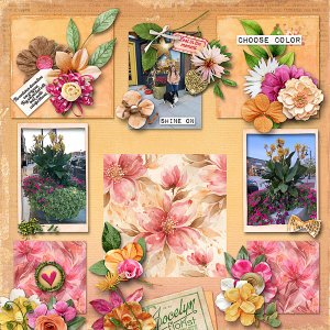 Bold, Colorful Container Displays