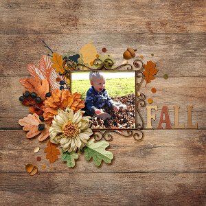 Fall