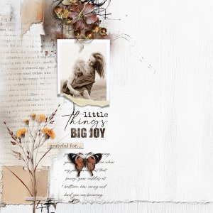Little Things Big Joy