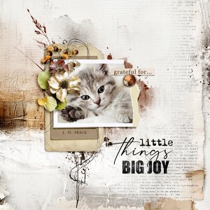 big-joy