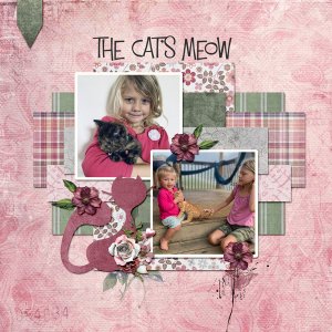 The Cat's Meow