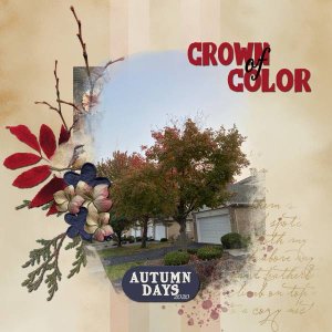 Crown Of Color