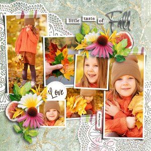 Little Taste of Fall