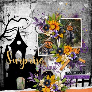Surprise Scare